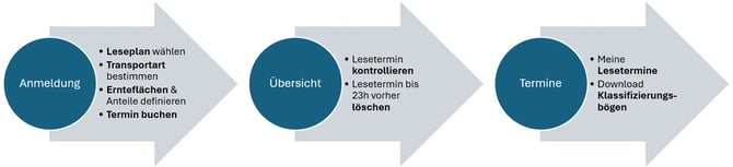 Flow - Leseanmeldung-1