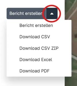 VYC_Fleet_Berichte_4_export_art_auswählen