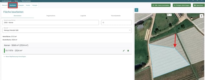 VYC - Area - übereinanderliegende Polygone2-1