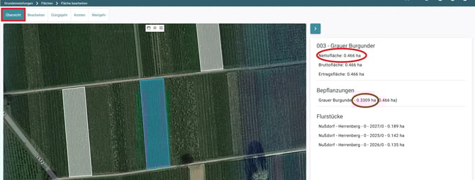 VYC - Area - Netto übertragen