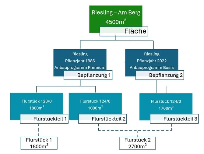 VYC - Area - Struktur