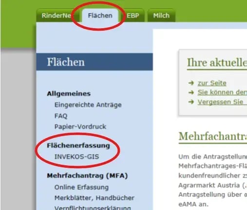eAMA Flächen inveko gis